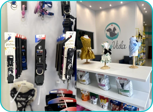 Acessórios para Pets PróVida Pet Shop Banho e Tosa em Maringá - PR