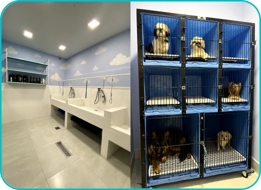Banho PróVida Pet Shop Banho e Tosa em Maringá - PR