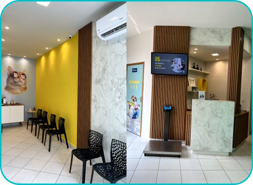 Recepção PróVida Clínica Veterinária 24h em Maringá - PR