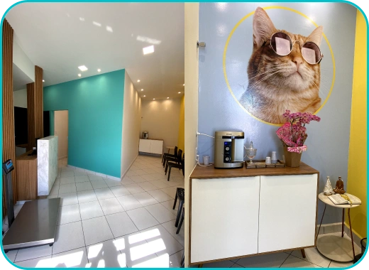 Sala de Espera PróVida Clínica Veterinária 24h em Maringá - PR