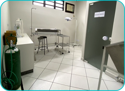 Sala de exames PróVida Clínica Veterinária 24h em Maringá - PR